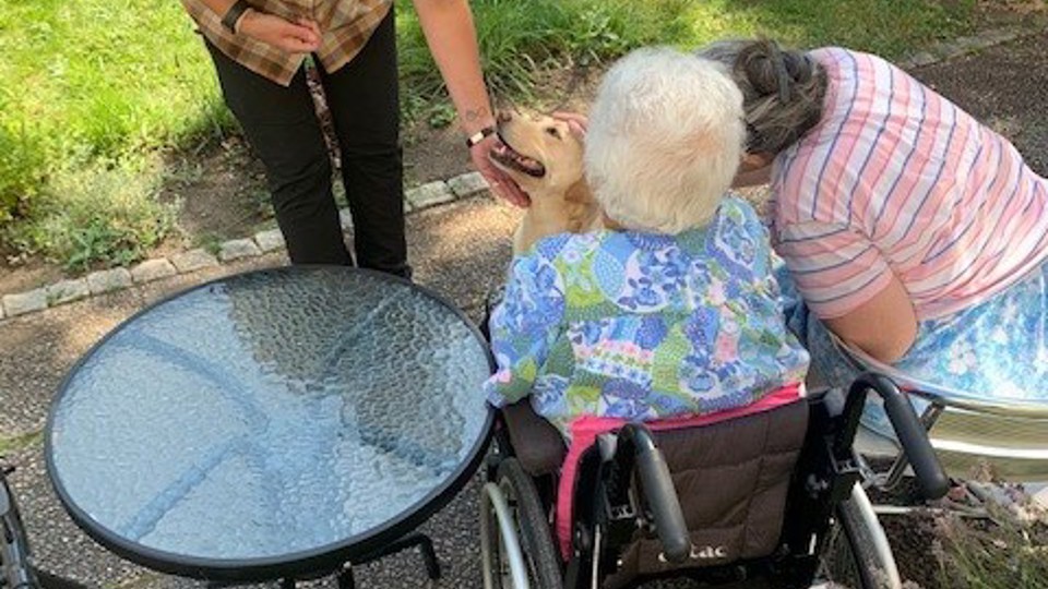 Tre personer klappar en hund