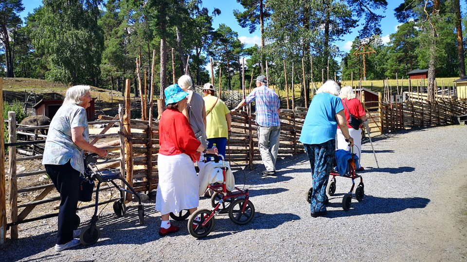 Deltagare från Seniorhälsan Älvsjö på utflykt.